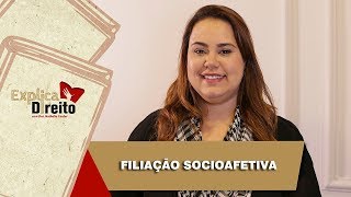 Explica Direito Filiação Socioafetiva  2019 [upl. by Ahsiken]