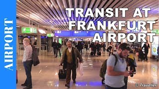 TRANSIT WALK AT FRANKFURT Airport FRA Terminal 1  Connection Flight Transfer Arriving amp Departing [upl. by Lionello798]